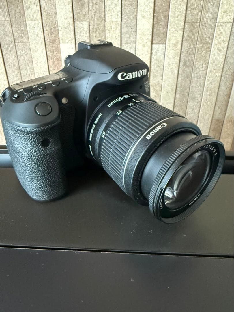 Canon EOS 60D デジタル一眼レフ 本体とレンズ