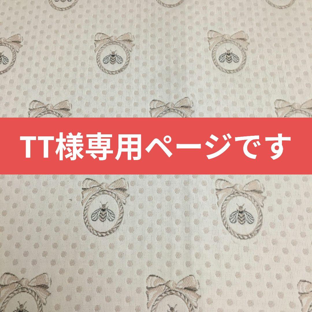 TTのぺージです