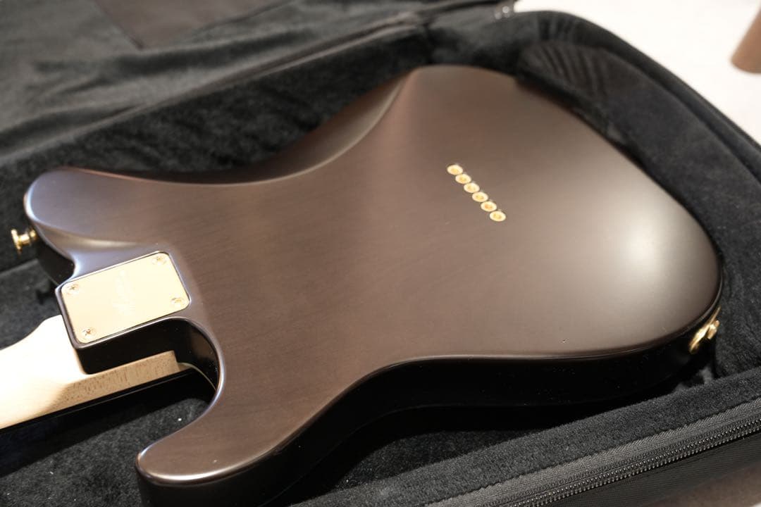 Momose MT-BET ’20WSE テレキャスター ギター