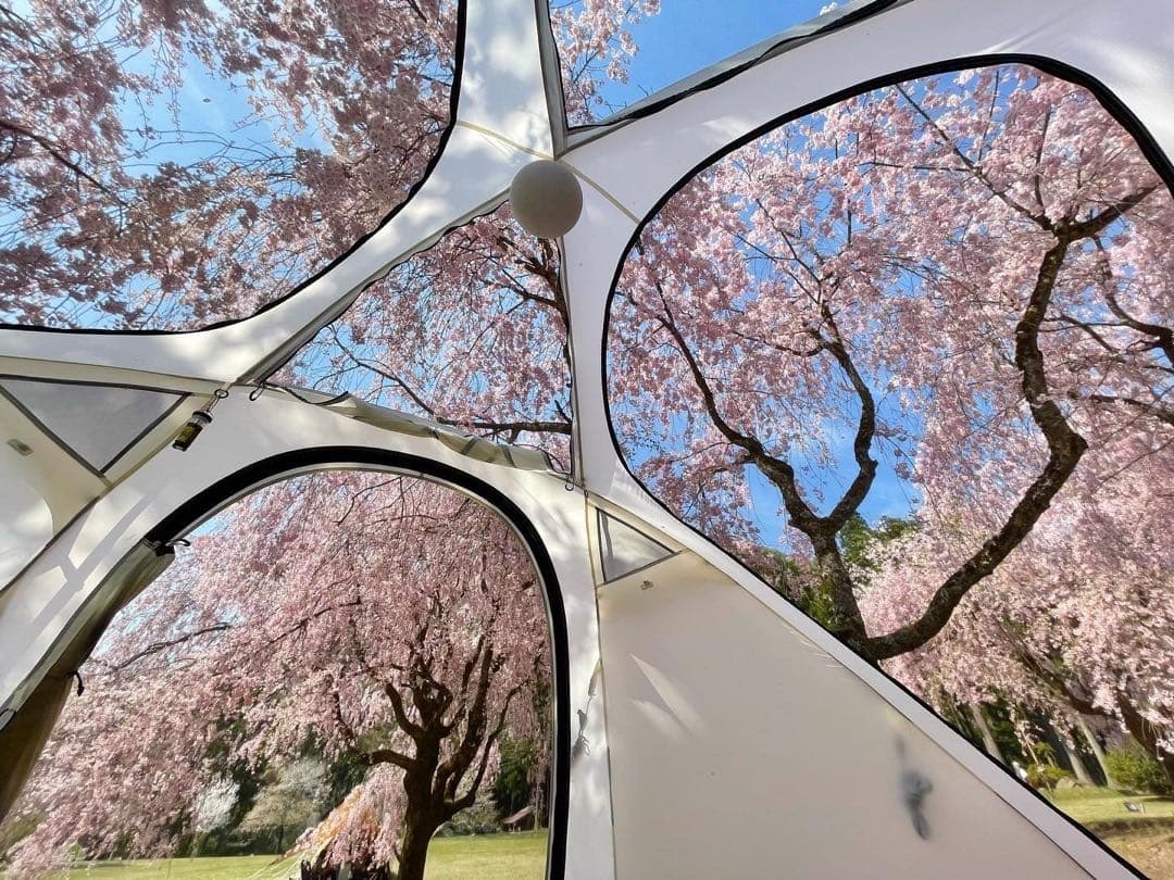 【美品】BEN NEVIS ベンネヴィス　オブザーバーシェルター アイボリー