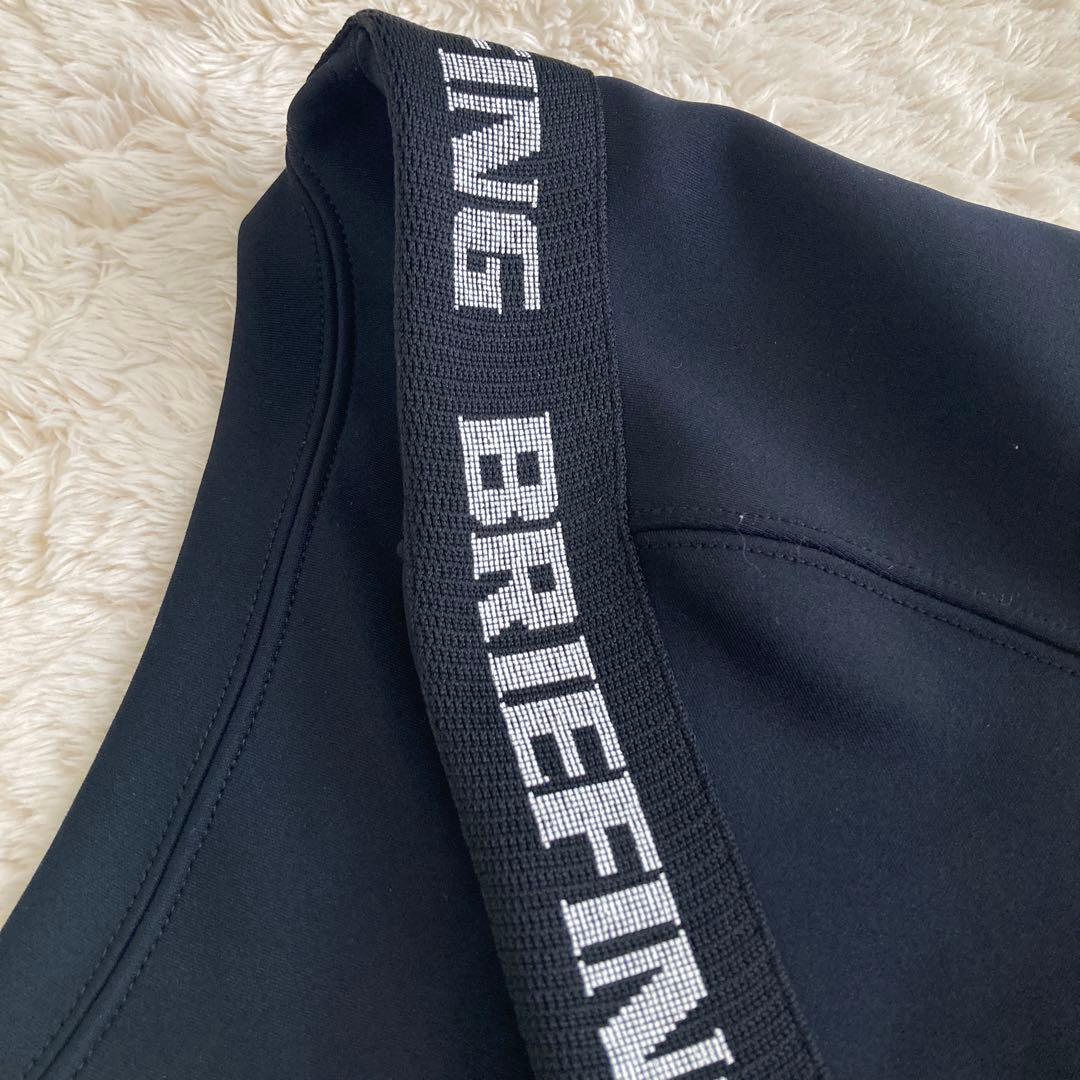 【じょうさん専用】美品！BRIEFING GOLFブリーフィングゴルフ　サイドロ