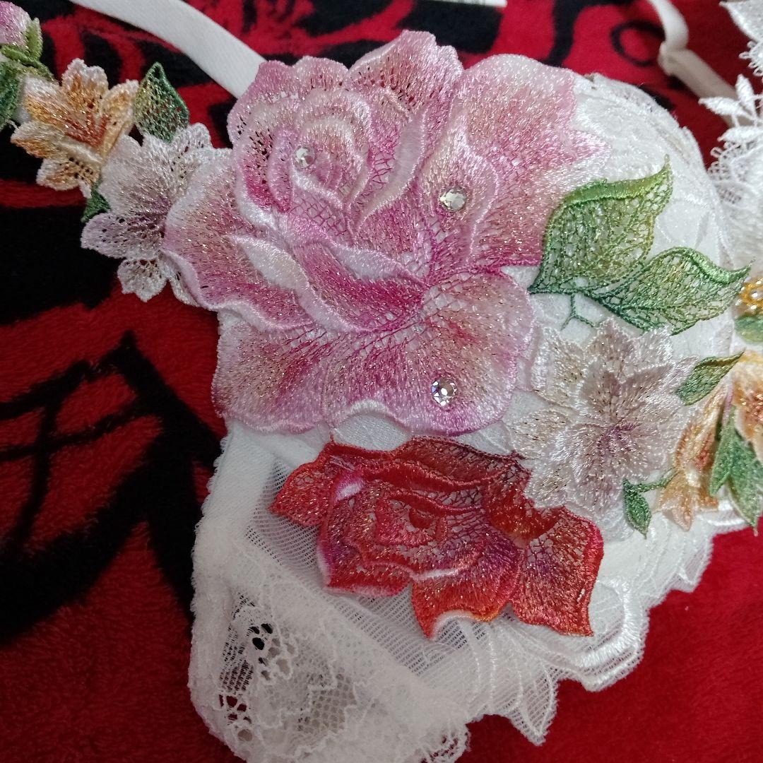 サルート 限定発売コレクション 09group B70