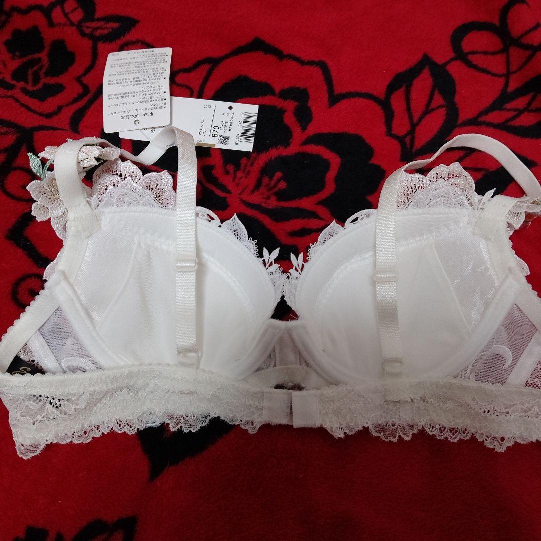 サルート 限定発売コレクション 09group B70