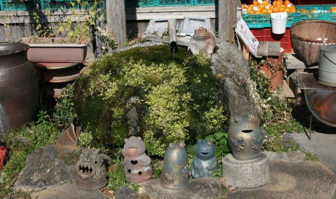 希少　PENTAX K20D-W 未発売モデル　ダブルレンズ⚡️初心者　警察用機