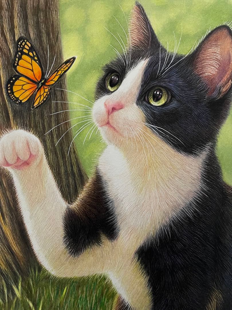 色鉛筆画 A4 ハチワレ猫131