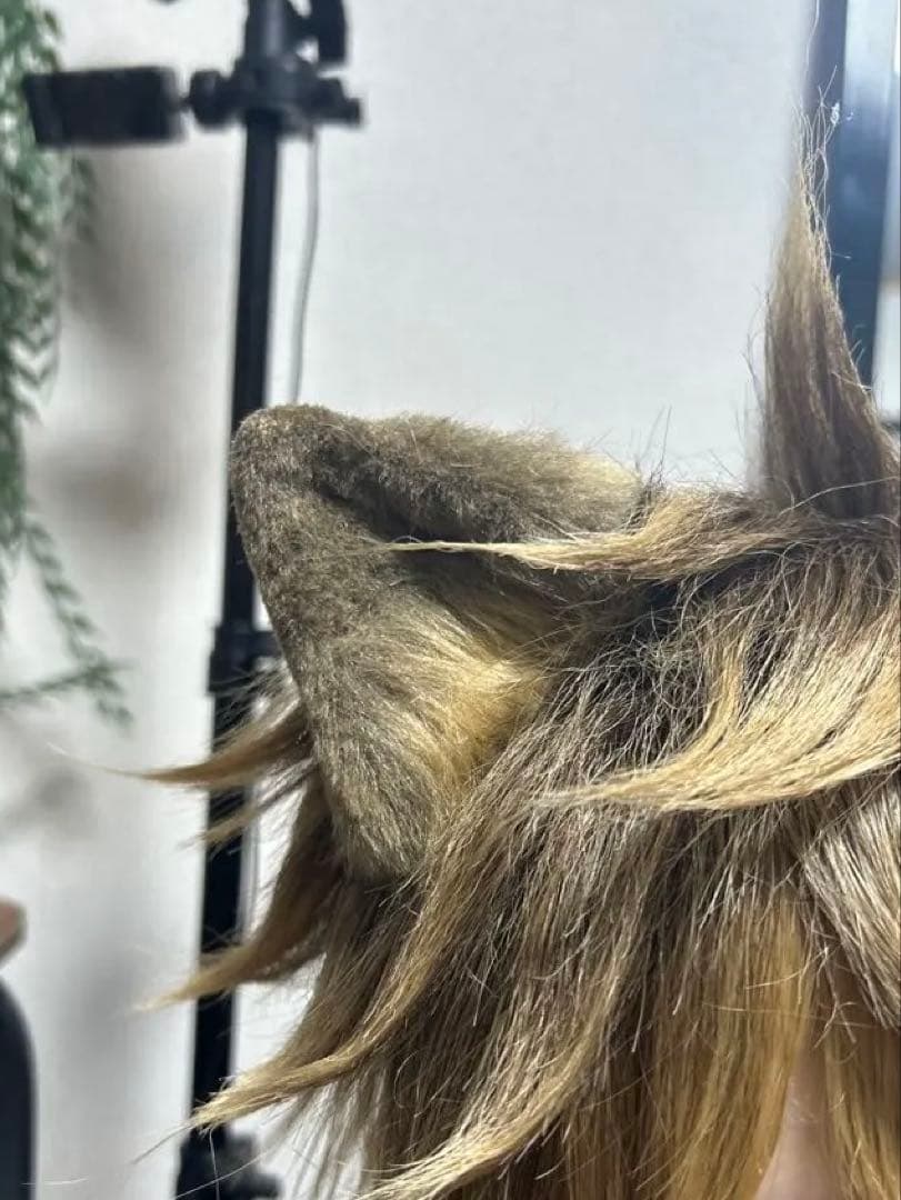 専用購入ページ✩.*˚