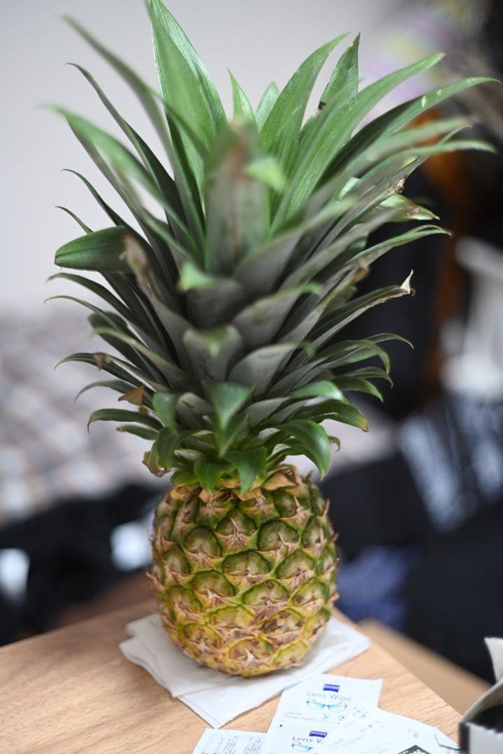 千代田光学Super Rokkor 5cm F1.8 Lマウントレン