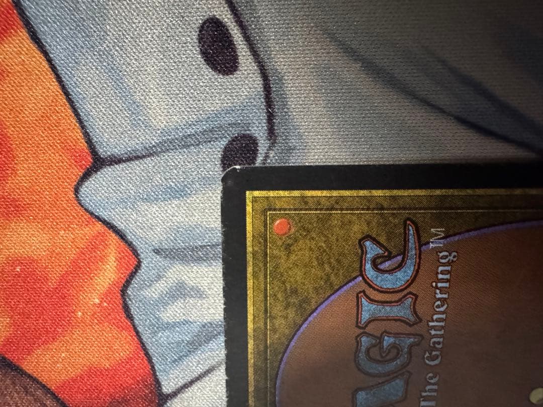 MTG　Taiga　3ED英　1枚