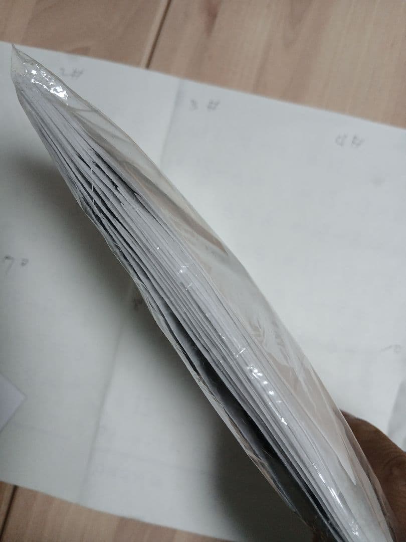 ペルー産・オオモルフォ（実物写真）A-