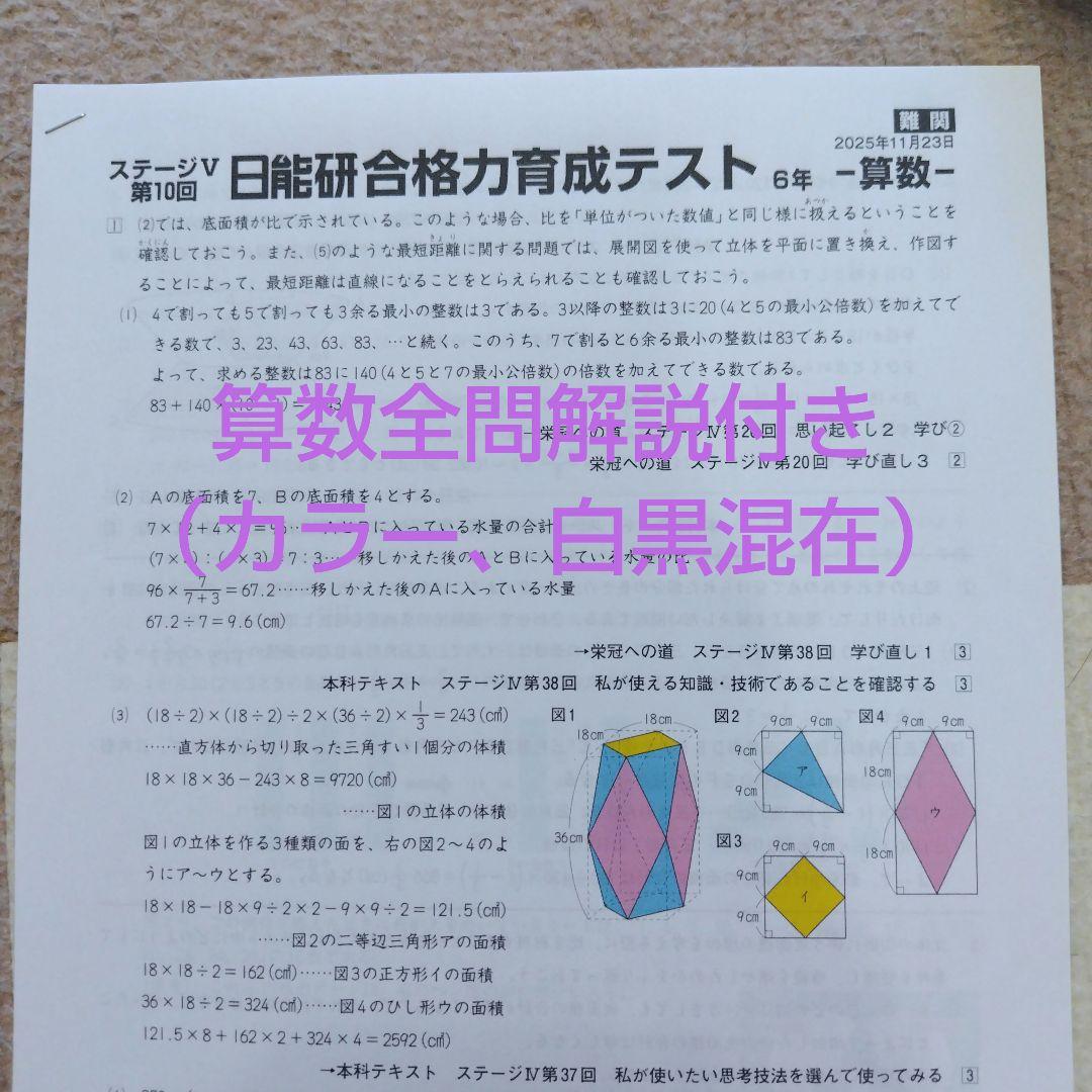 【最新版】2025年日能研6年　後期　合格力育成テスト　合格力実践テスト【難関】