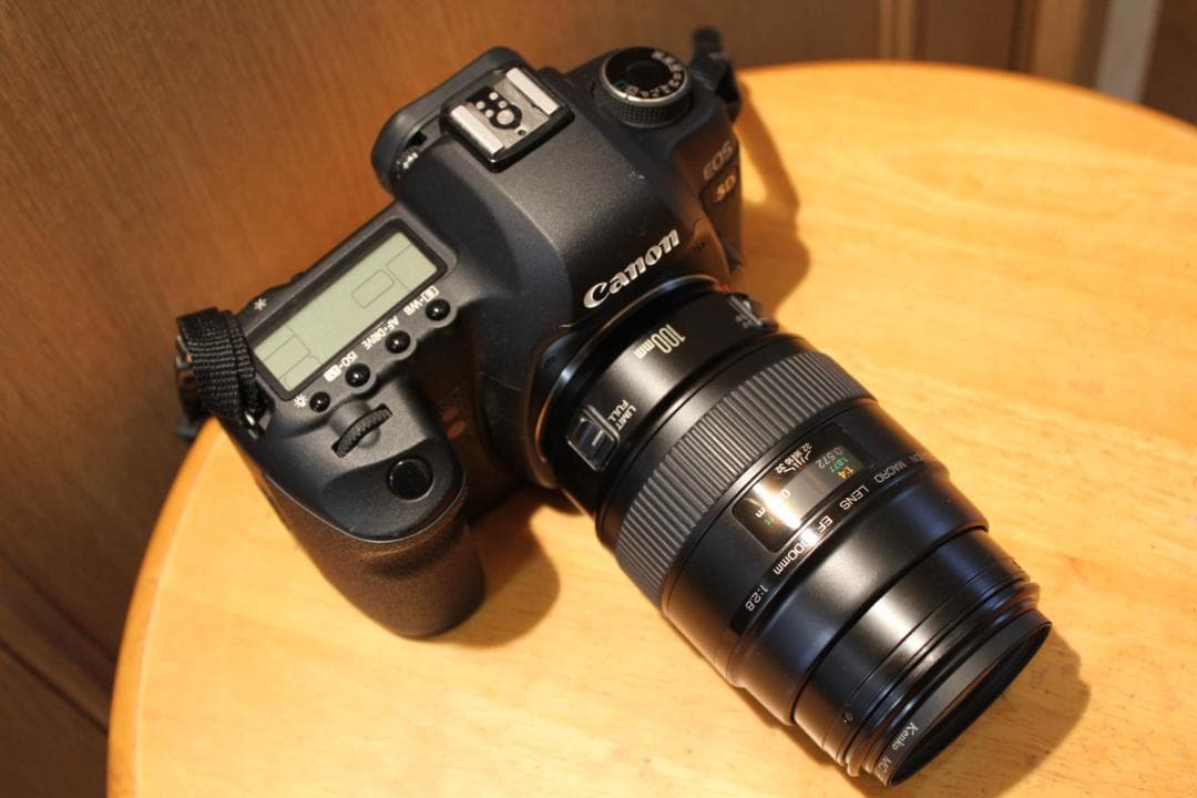 Canon EF 100mm f/2.8 (Non-USM) 　マクロレンズ