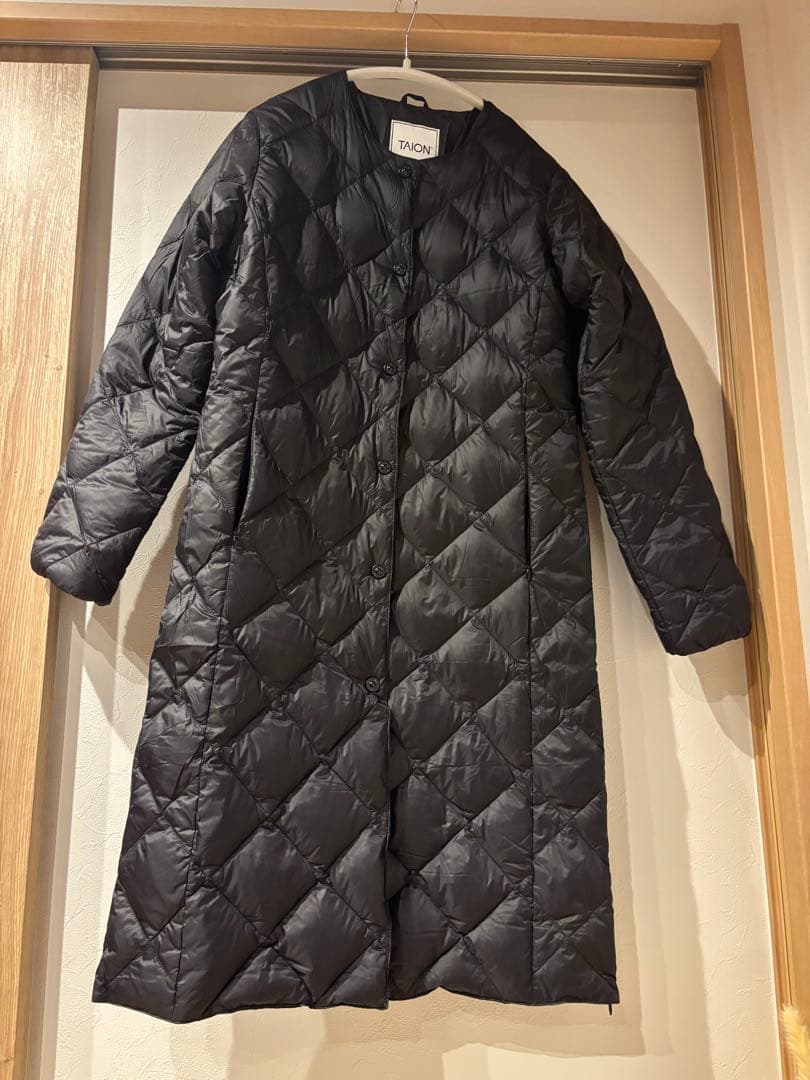 TAIONインナーダウンジャケット Lサイズ