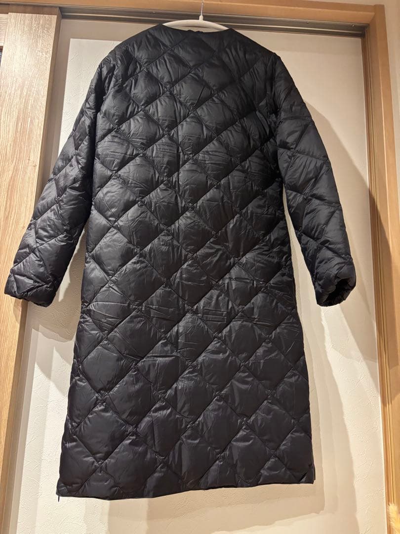 TAIONインナーダウンジャケット Lサイズ