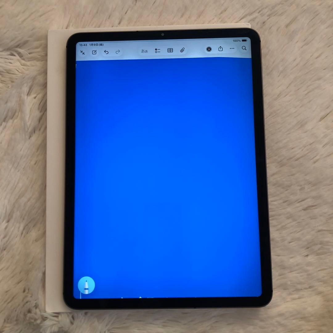 【ラスト1台】iPad Pro 11インチ 64GB SIMフリー 【即発送】