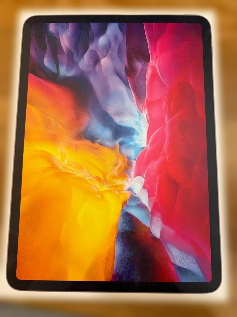 iPad Pro 11インチ (第2世代) 256GB スペースグレー