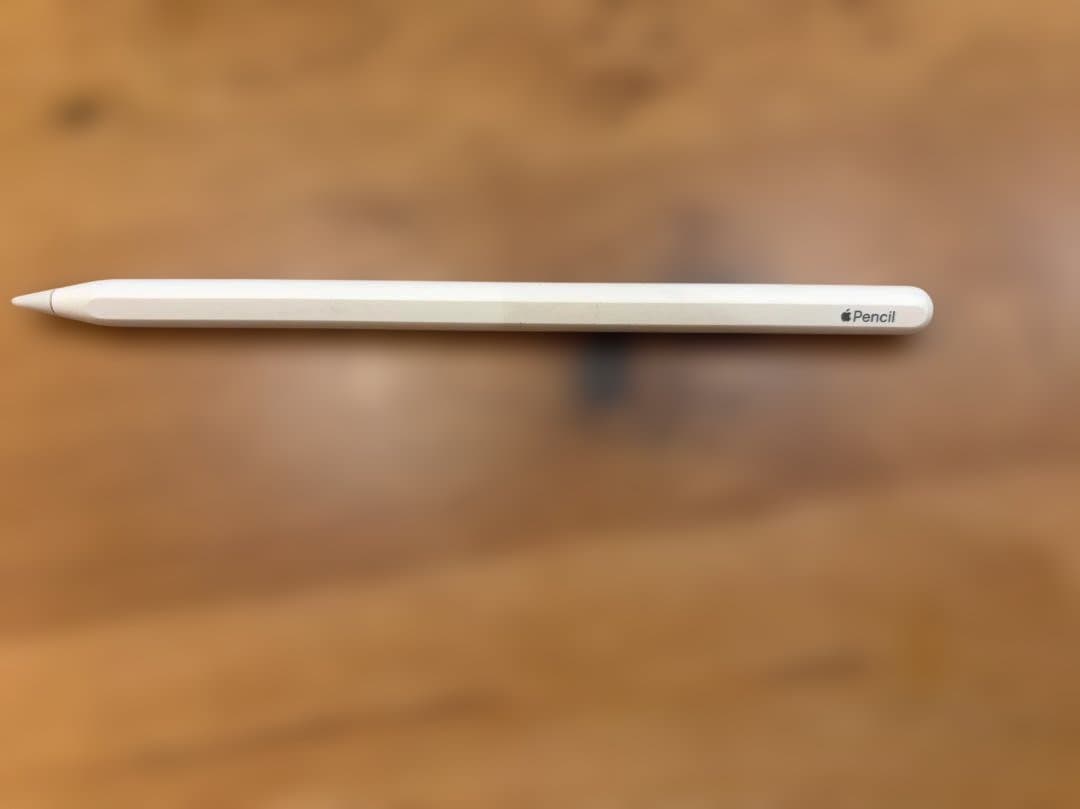 iPad Pro 11インチ (第2世代) 256GB スペースグレー