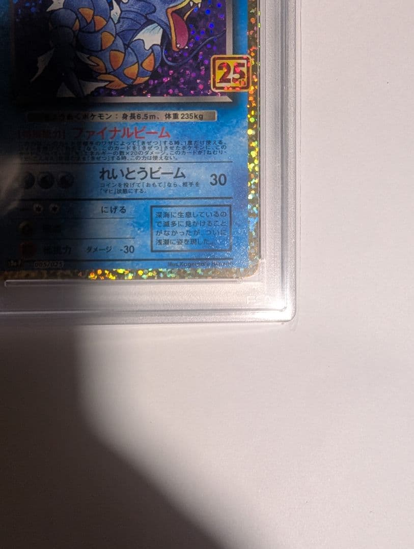 【即購入可】　PSA10　わるいギャラドス プロモカードパック 25th