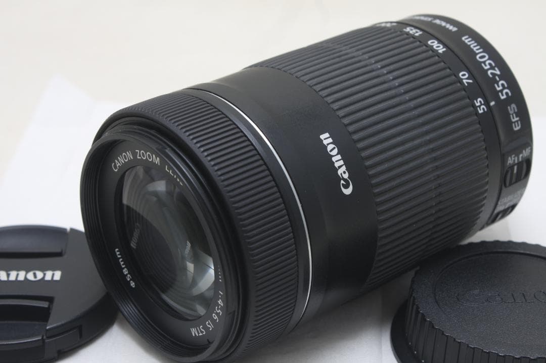 キヤノン EF-S 55-250mm F4-5.6 IS STM 4382
