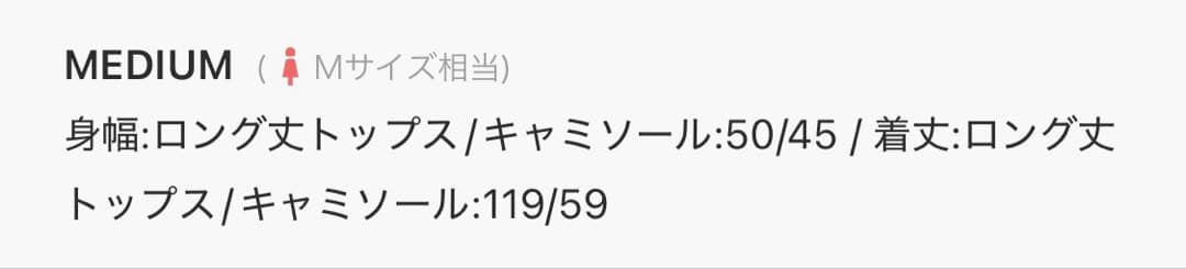 トップス Ameri MEDI GRADIENT SHEER SET TOP M