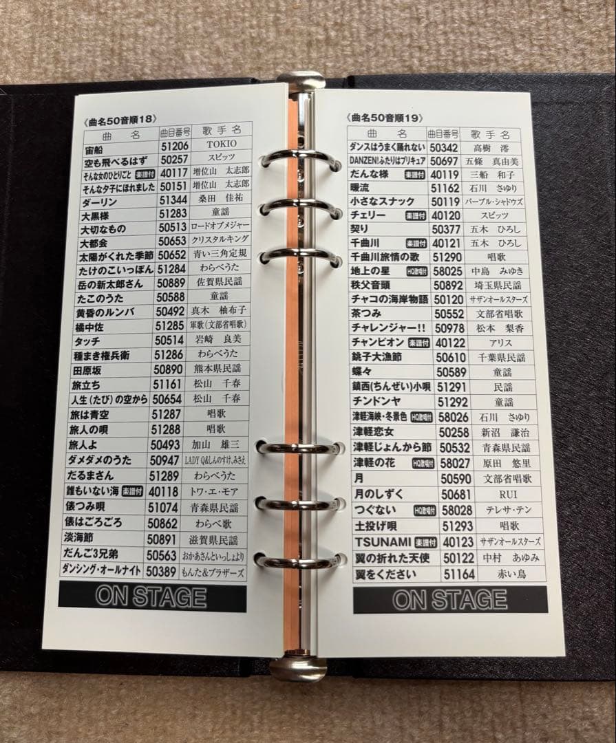 パーソナルカラオケ オンステージ(Z-PK12GT) ペアマイクセット