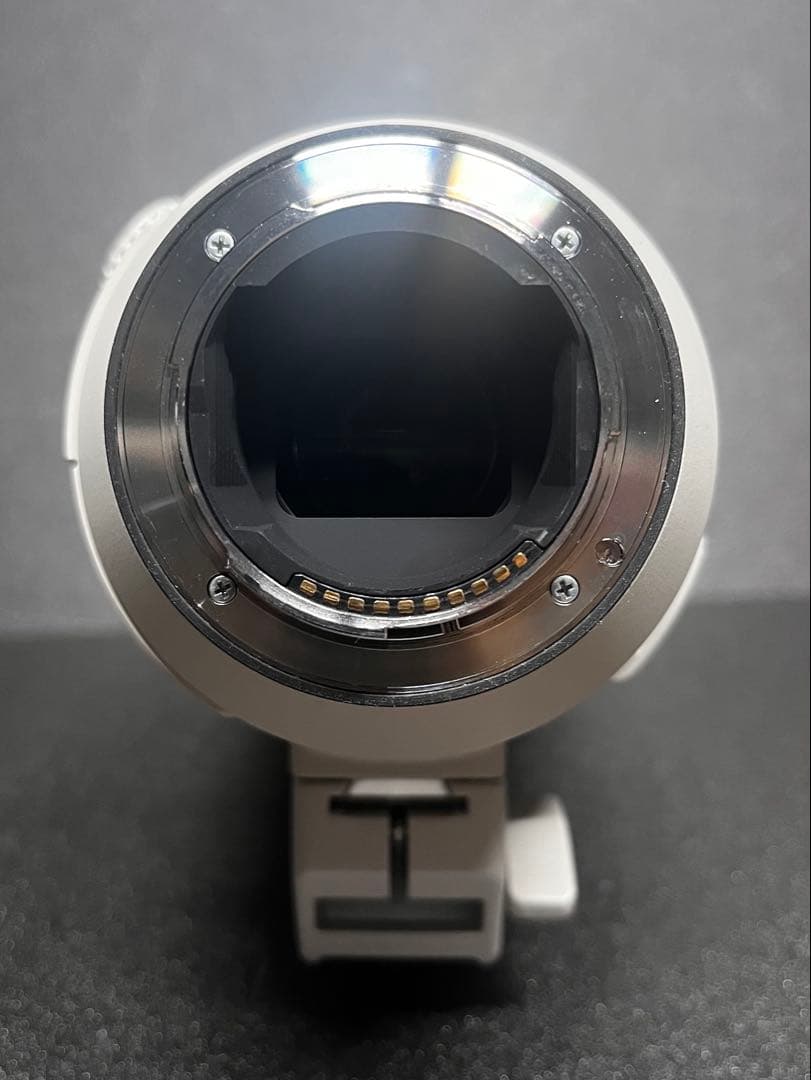 [フィルター付] SONY SEL200600G