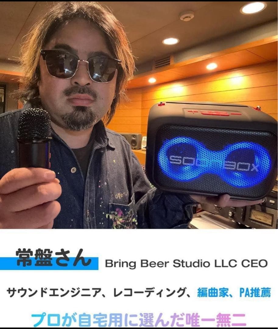 カラオケセット家庭用 充電式スピーカーマイク２本BT5.3 TWS機能 6時間