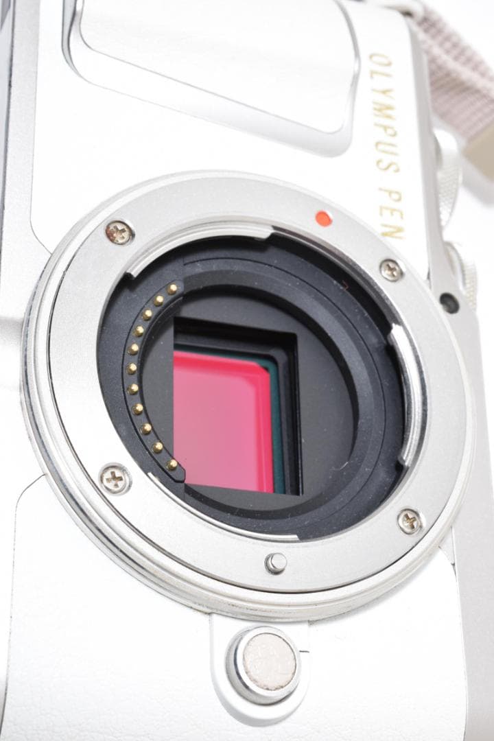 デジタルカメラ OLYMPUS PEN E-PL9 #2921