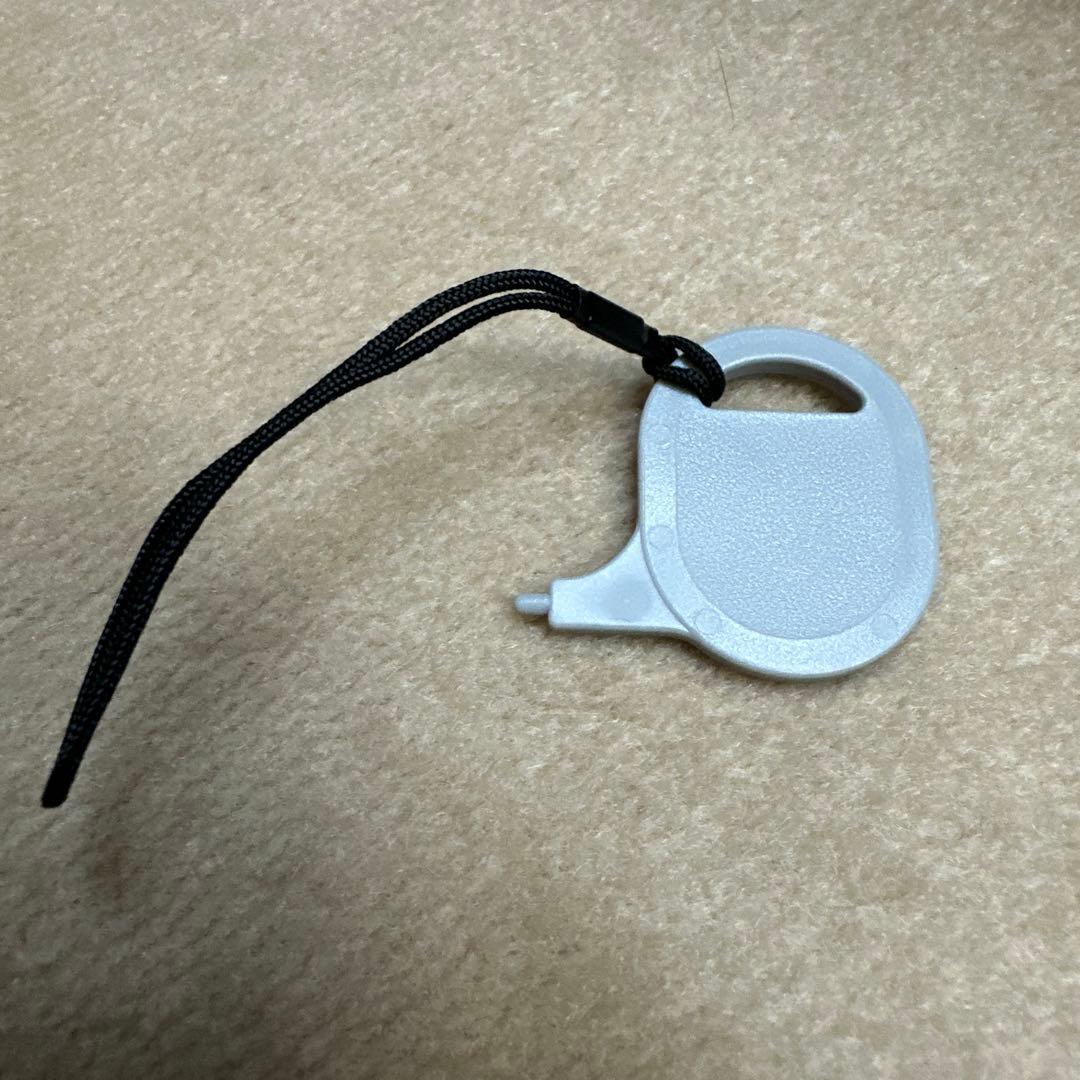 ハンディカムPanasonic HDC-HS300 【超美品】