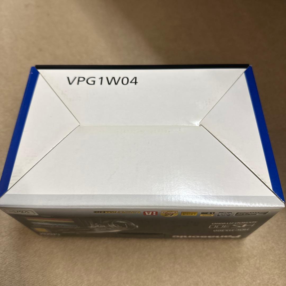 ハンディカムPanasonic HDC-HS300 【超美品】