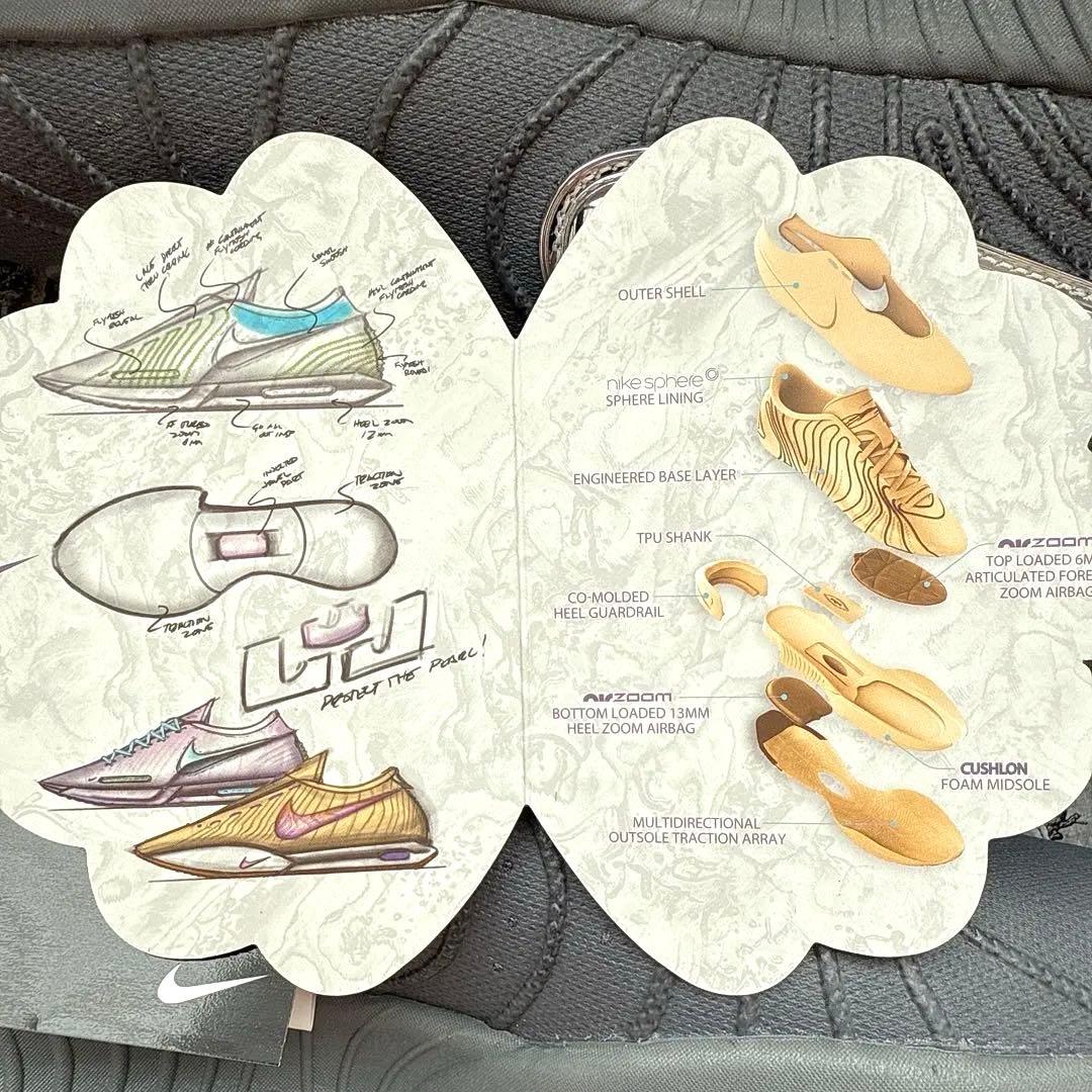 Nike LeBron XXI EP クールグレー 29cm / 美品 実戦向き