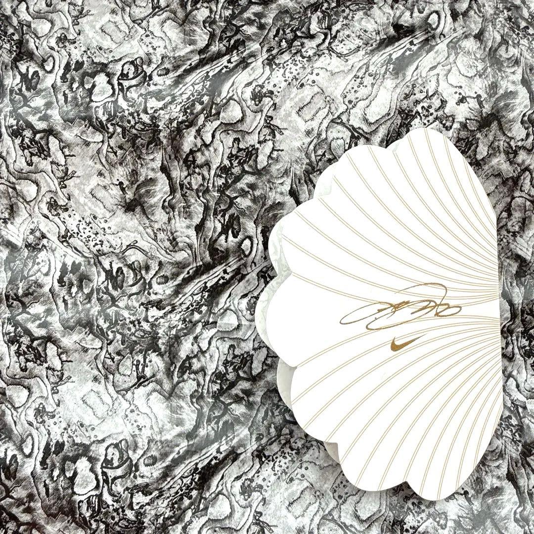 Nike LeBron XXI EP クールグレー 29cm / 美品 実戦向き