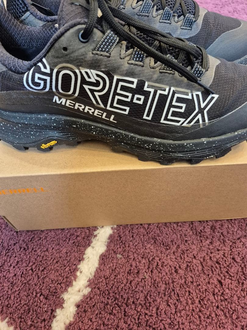 メンズ モアブ スピード ゴアテックス スペシャルエディション