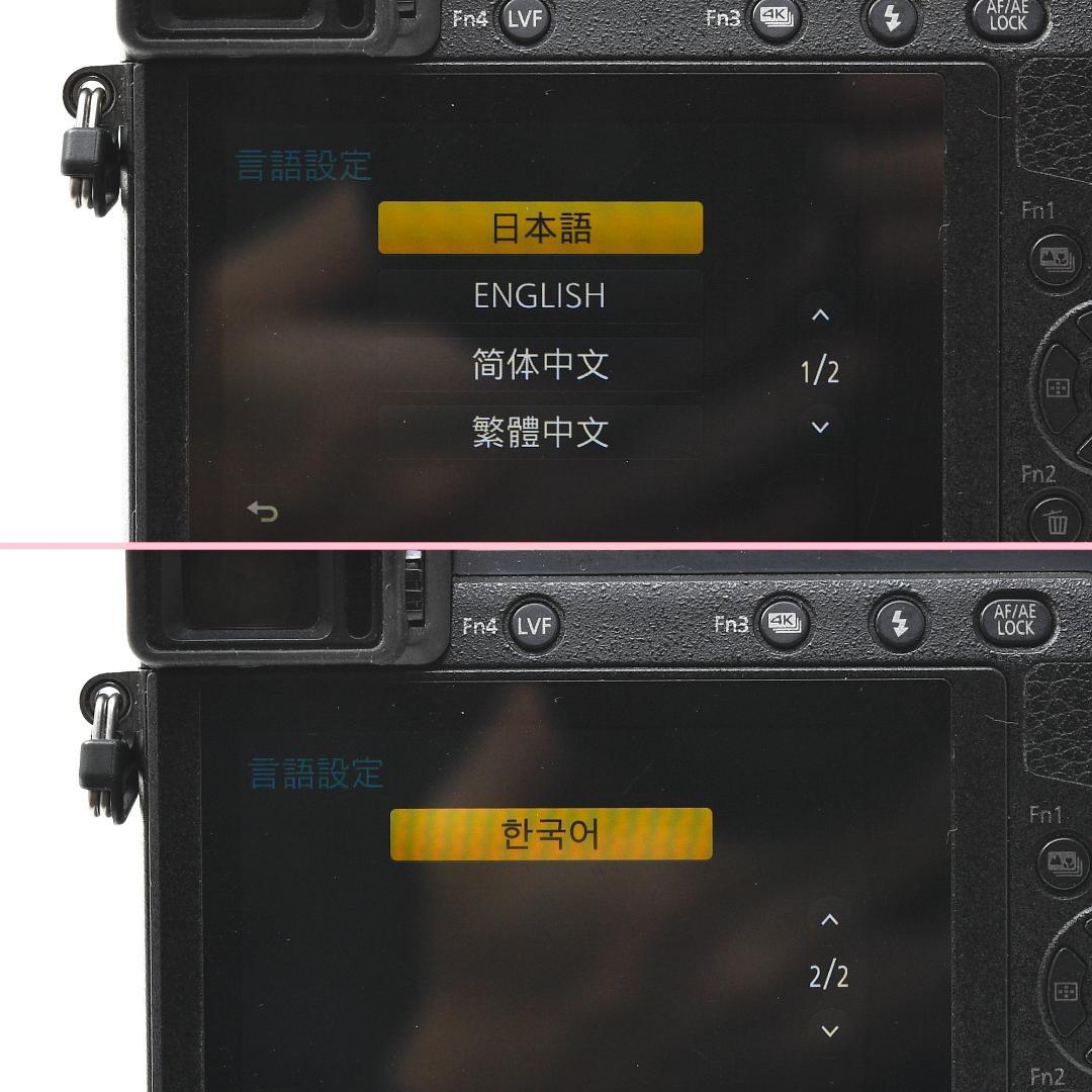 パナソニック LUMIX DMC-GX7MK2 パンケーキレンズ付属 作例有