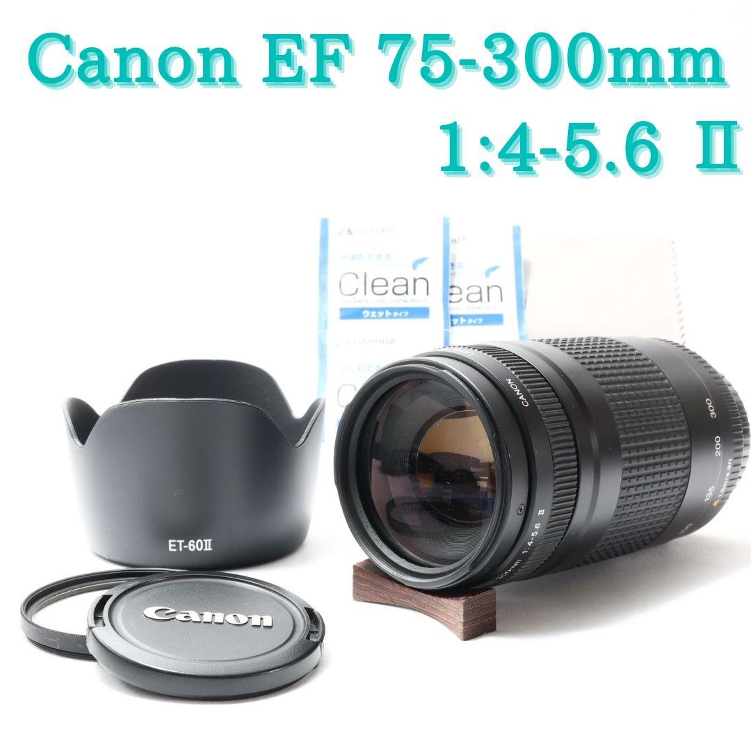 おかひ 超望遠レンズ☆Canon EF 75-300㎜ 1:4-5.6 Ⅱ