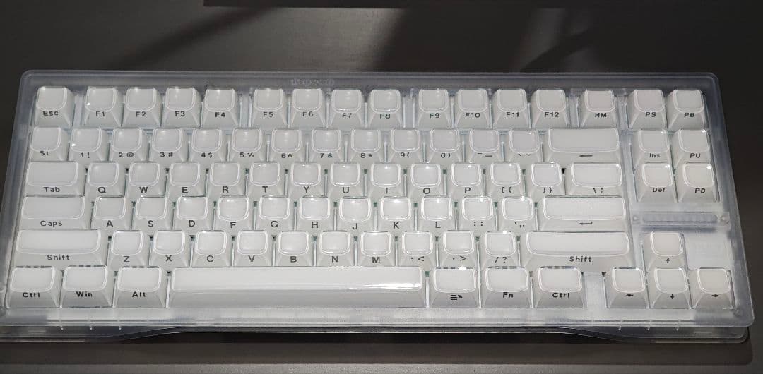 【美品】Wooting 80HE カスタマイズ品 ラピッドトリガー対応キーボード