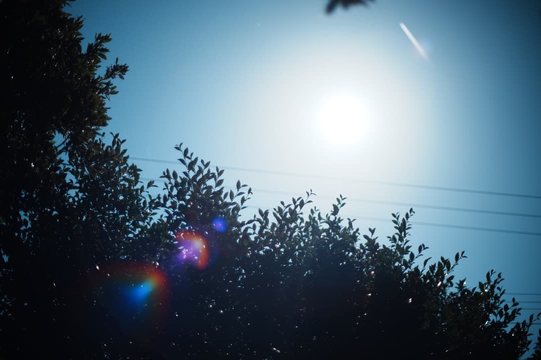 【極美品】動作◎ Minolta AF 50mm F1.4 ミノルタ 777