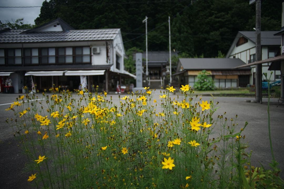 状態要確認　作例付き　SUN 24mm f2.8 管mpr