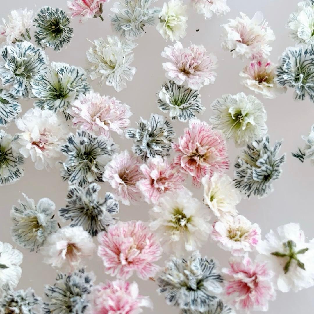 kan___f様 リクエスト　21点 まとめ商品