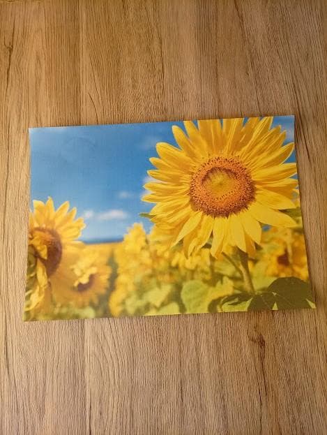 【動作確認済】Canon PIXUS プリンター　TS8130　　送料無料