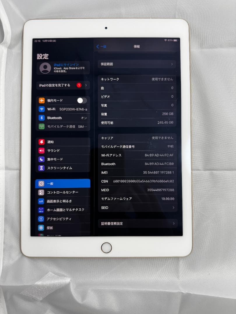 【年内売切】iPad Pro 9.7 256GB Cellular+ペン