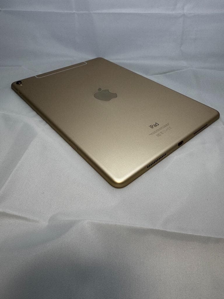 【年内売切】iPad Pro 9.7 256GB Cellular+ペン