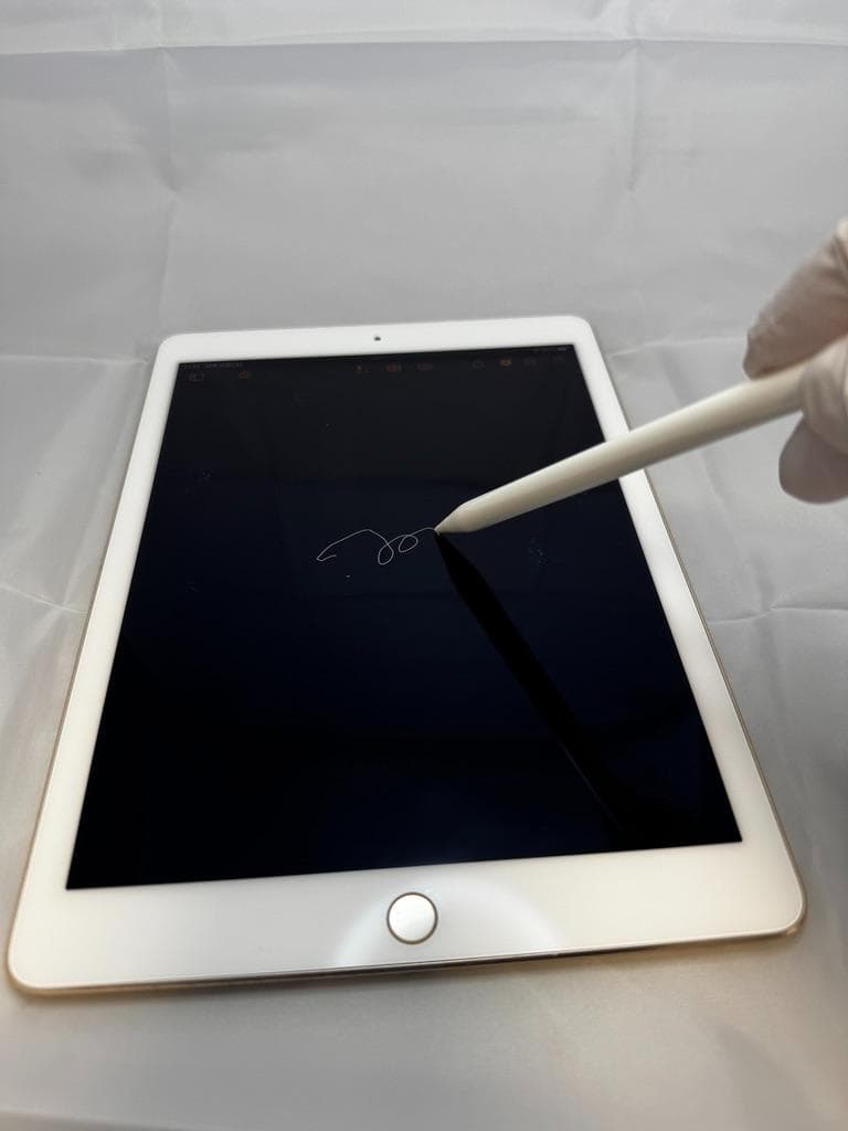 【年内売切】iPad Pro 9.7 256GB Cellular+ペン