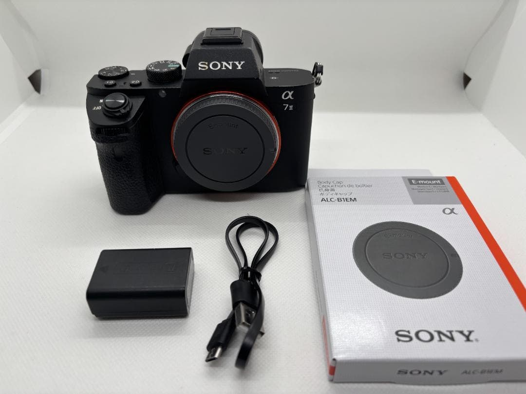 【ショット数：8,808枚】ソニー SONY α7 Ⅱ