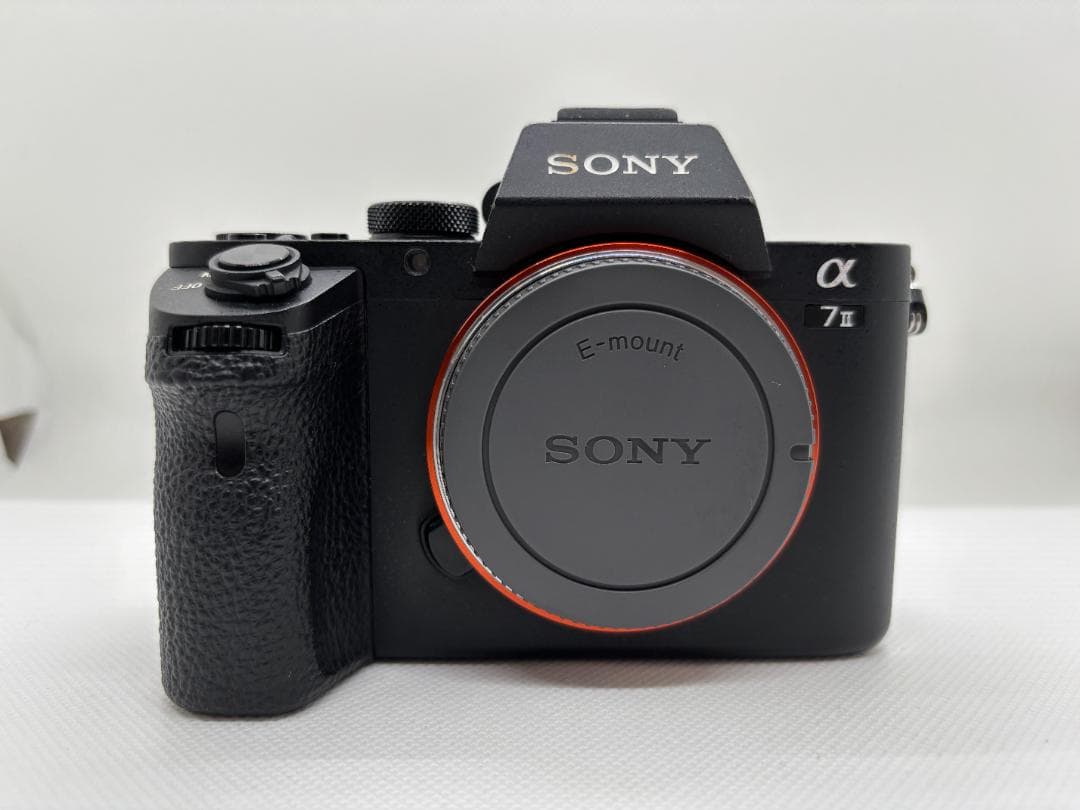 【ショット数：8,808枚】ソニー SONY α7 Ⅱ