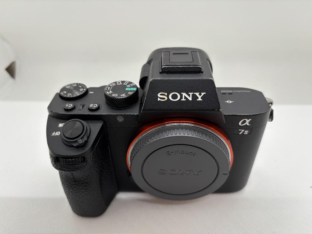 【ショット数：8,808枚】ソニー SONY α7 Ⅱ