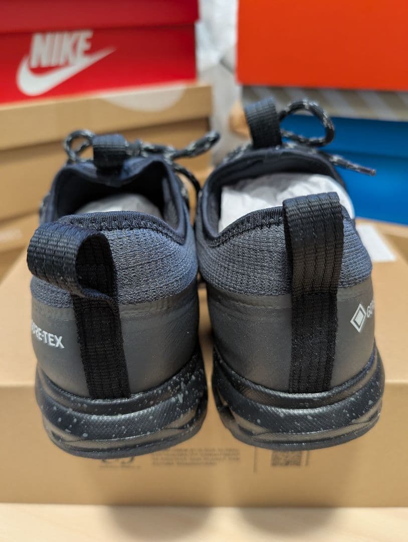 MIZUNO WAVE EVOKE GTX（ミズノウェーブエボークGTX