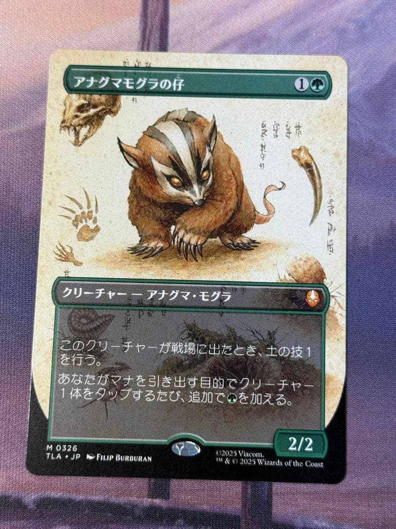 MTG/TLA/アナグマモグラの仔/ボーダレス/1枚