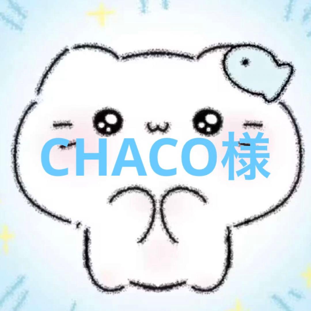 小物 CHACO