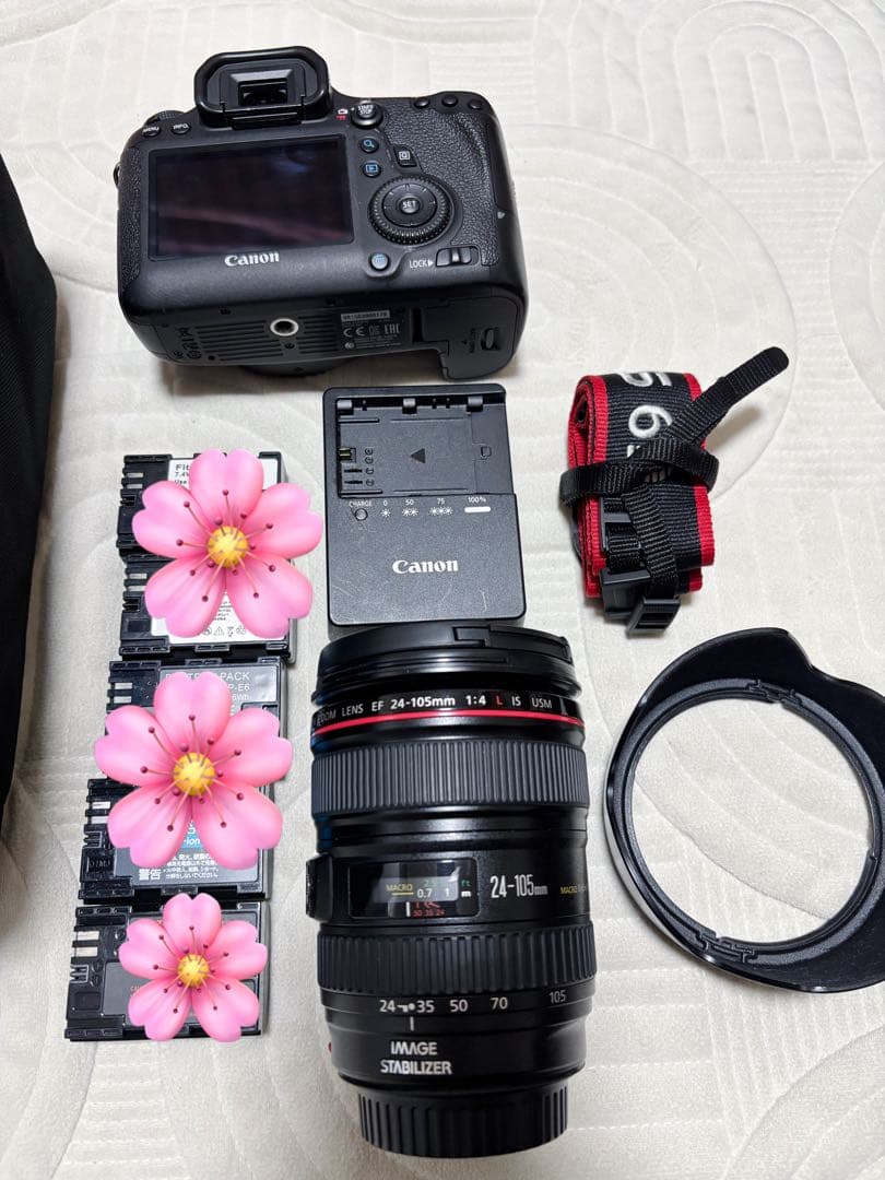 Canon EOS 6D + レンズキット SDカード付き