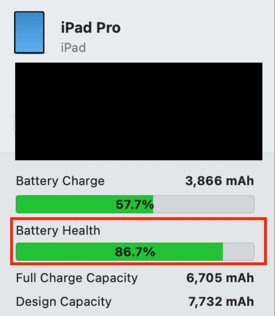 T*y様 iPad Pro 11インチ 2018 スペースグレー 256GB セ